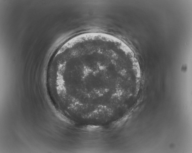 X0000116780055201001281702