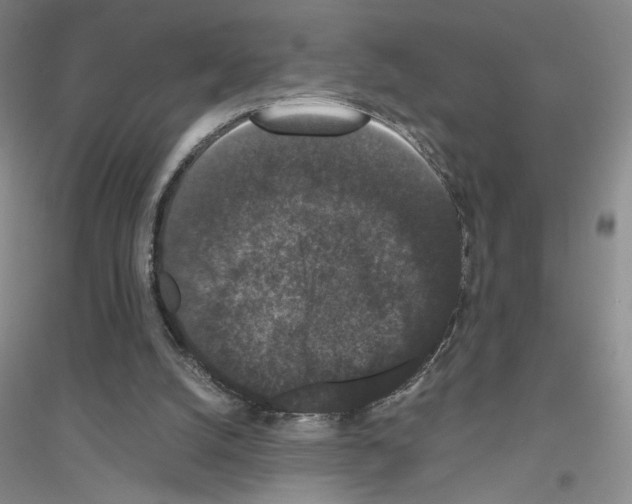 X0000116780056201001281702