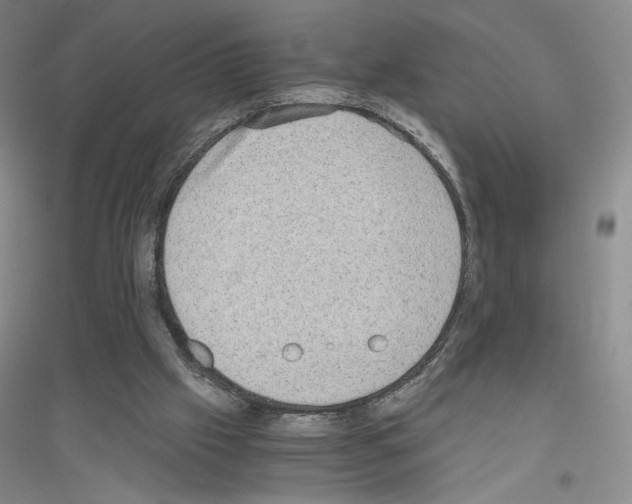 X0000116780057201001281702