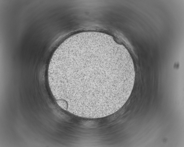 X0000116780058201001281702