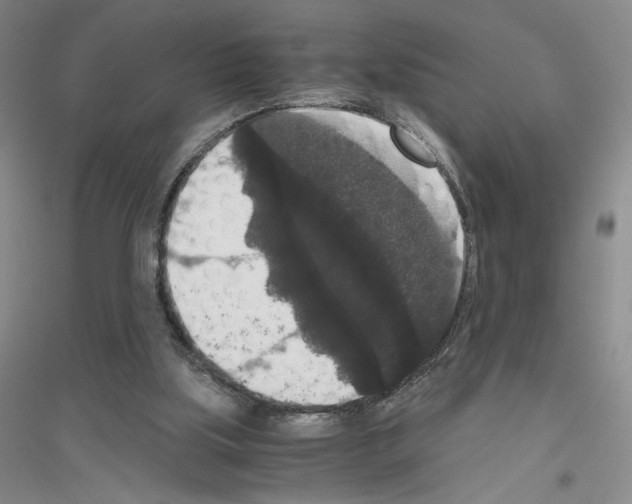 X0000116780059201001281702