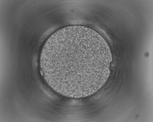 X0000116780060201001281702