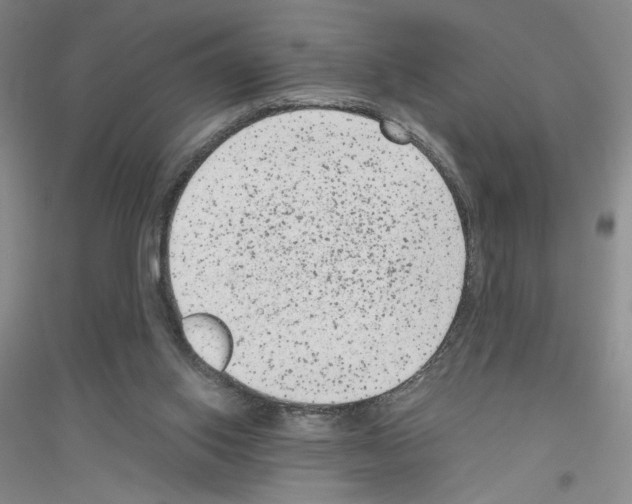 X0000116780062201001281703