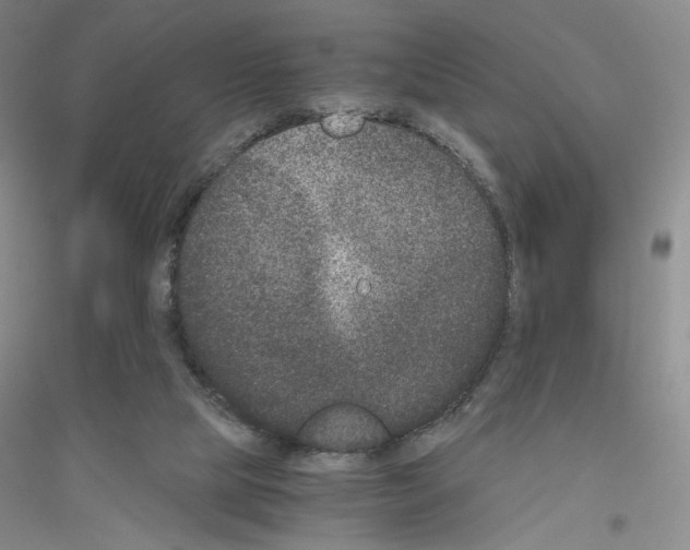 X0000116780065201001281703