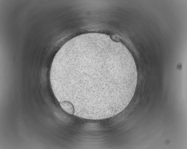 X0000116780066201001281703