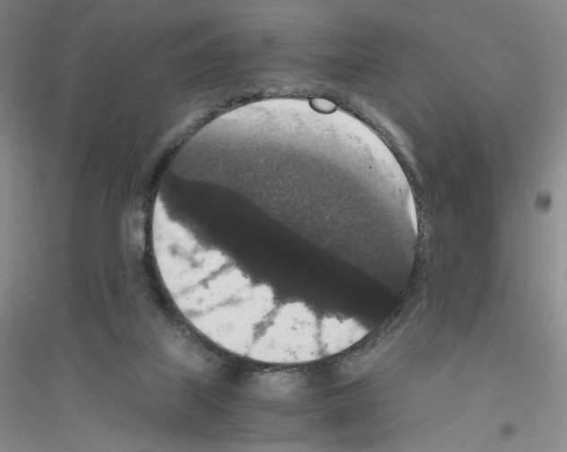 X0000116780067201001281703