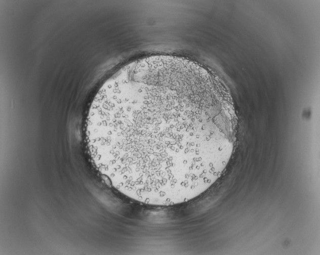 X0000116780068201001281703