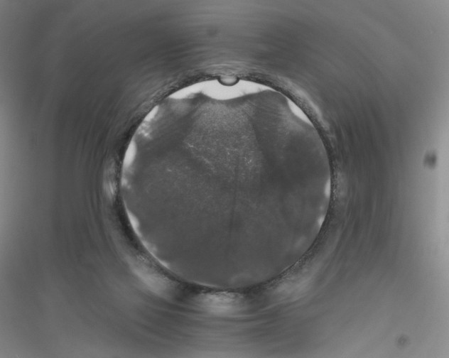 X0000116780069201001281703