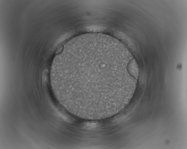 X0000116780071201001281703