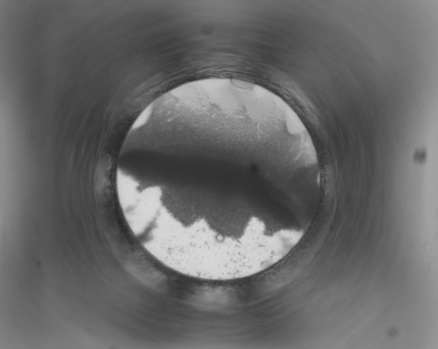 X0000116780073201001281703