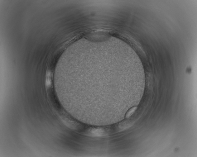 X0000116780075201001281703