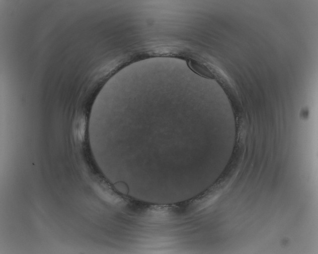 X0000116780076201001281703