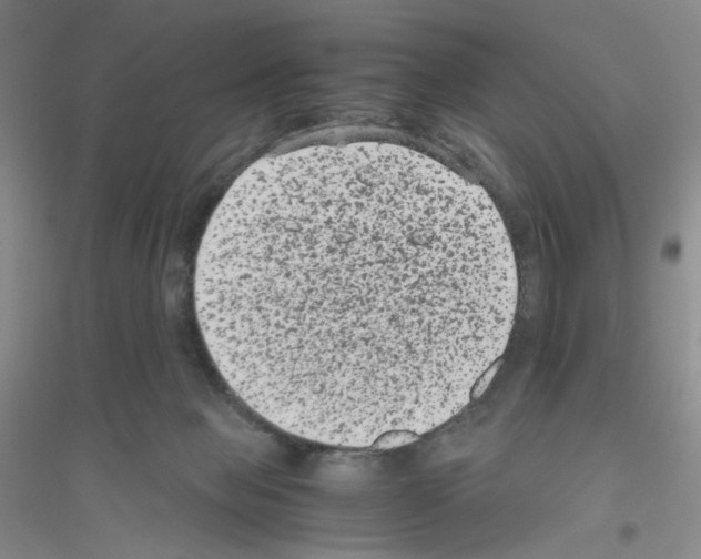 X0000116780077201001281703