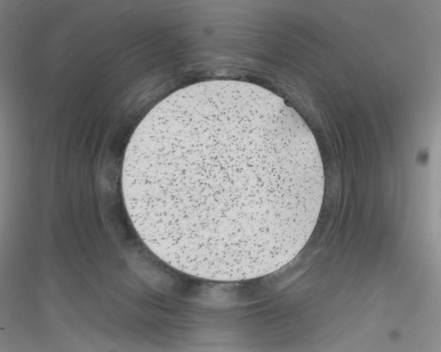 X0000116780078201001281703