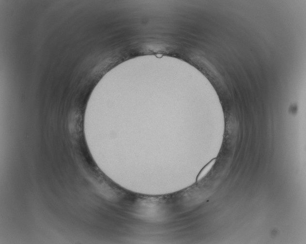 X0000116780079201001281703