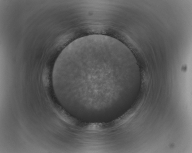 X0000116780080201001281703