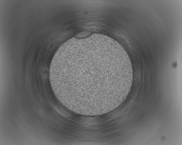 X0000116780081201001281703