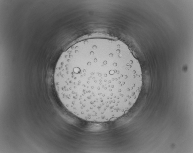 X0000116780083201001281703