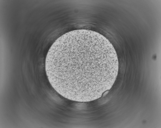 X0000116780085201001281703