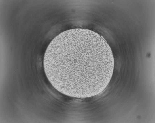 X0000116780086201001281703