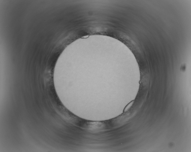 X0000116780087201001281703