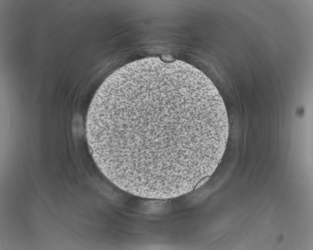 X0000116780089201001281703