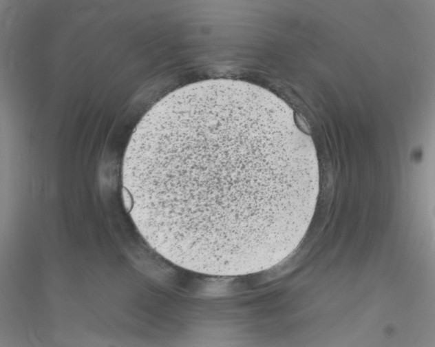 X0000116780090201001281703