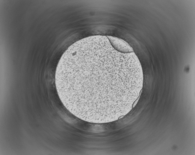 X0000116780091201001281703