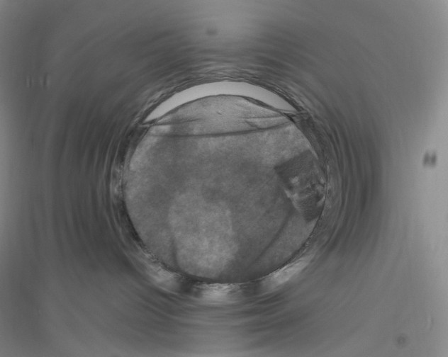 X0000116780096201001281703