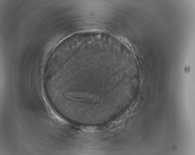 X0000116780097201001281702