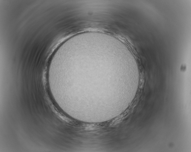 X0000116780098201001281702