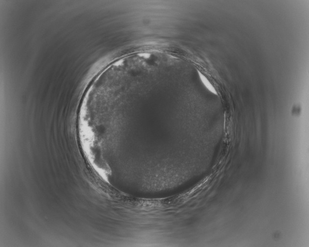 X0000116780099201001281702