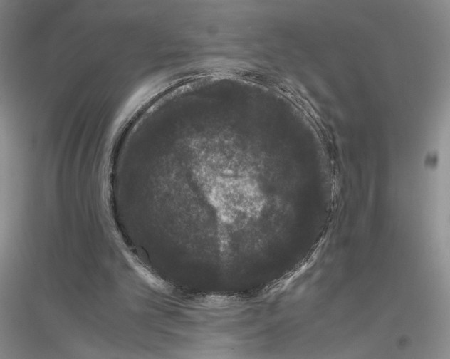 X0000116780101201001281702