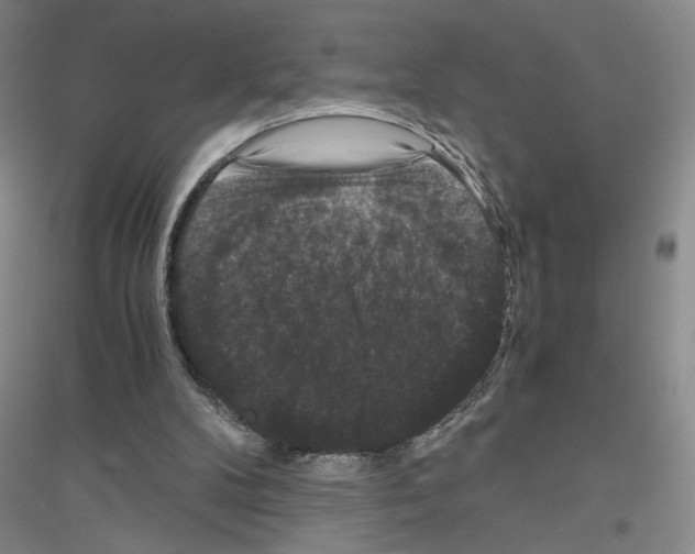 X0000116780104201001281702