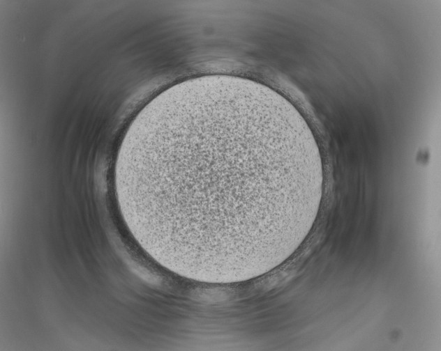 X0000116780106201001281702