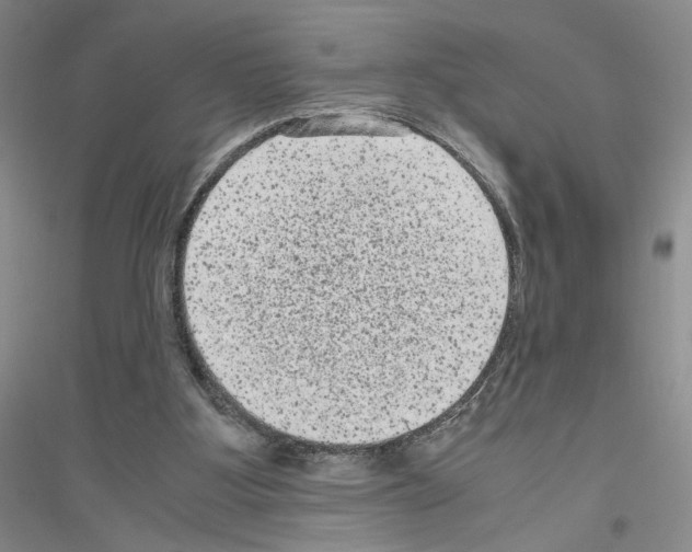 X0000116780107201001281702