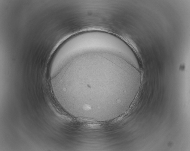 X0000116780108201001281702