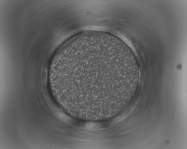 X0000116780109201001281702