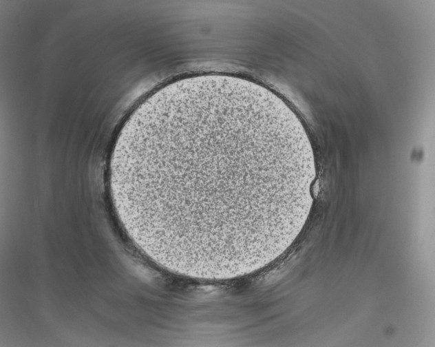 X0000116780111201001281702