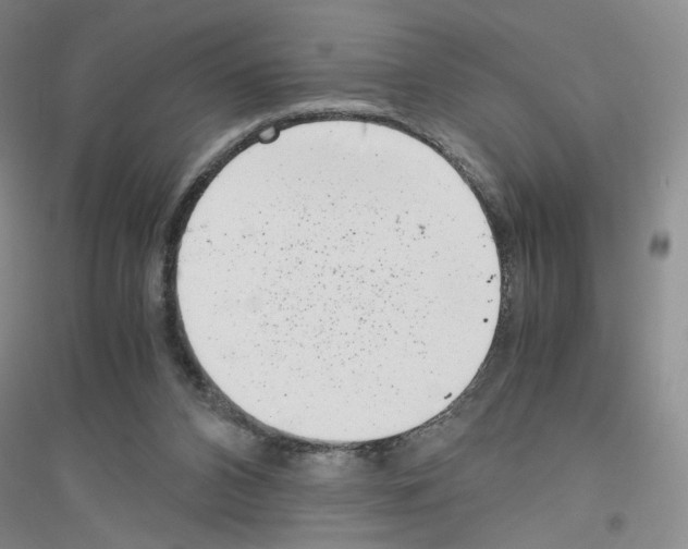 X0000116780112201001281702