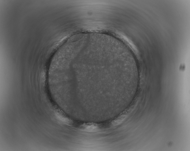 X0000116780113201001281702