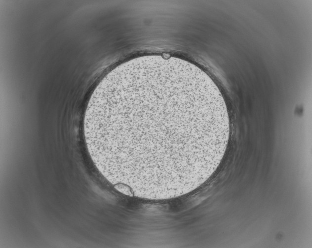 X0000116780115201001281702