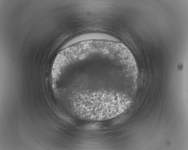 X0000116780116201001281702