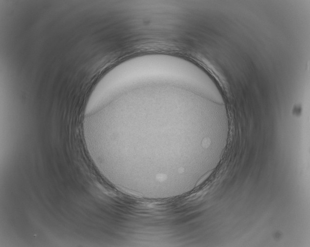 X0000116780117201001281702