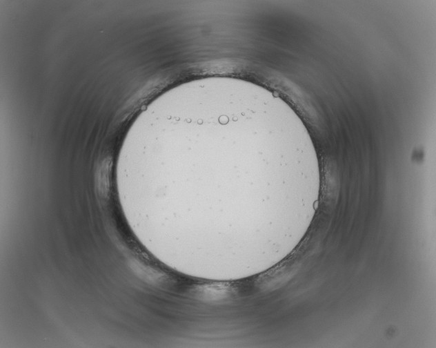 X0000116780118201001281702