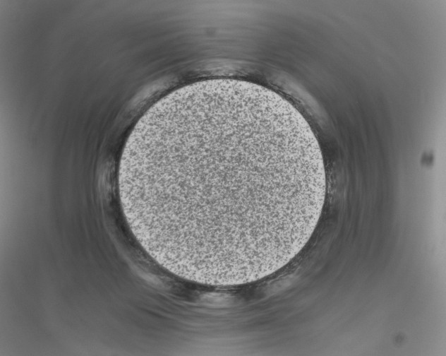 X0000116780119201001281702