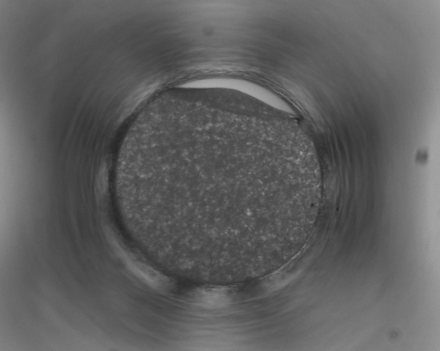 X0000116780120201001281702