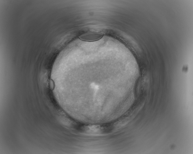 X0000116780121201001281702