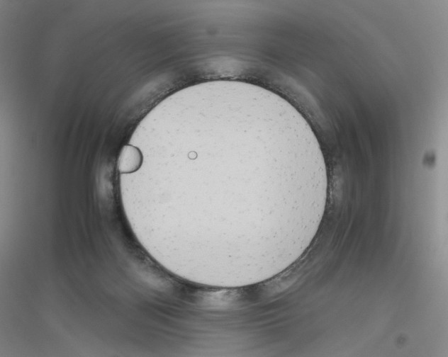 X0000116780122201001281702