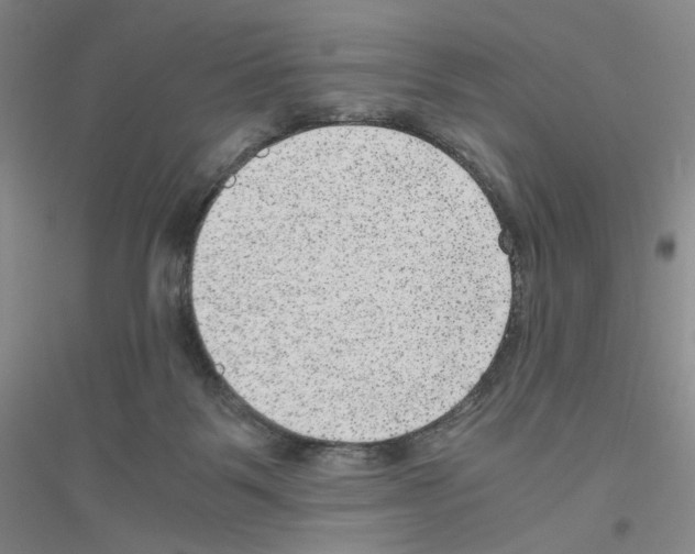 X0000116780123201001281702